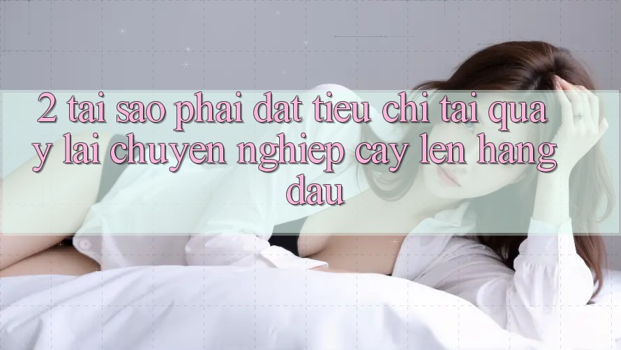 2. Tại Sao Phải Đặt Tiêu Chí “Tải quay lại Chuyên nghiệp cậy” Lên Hàng Đầu?