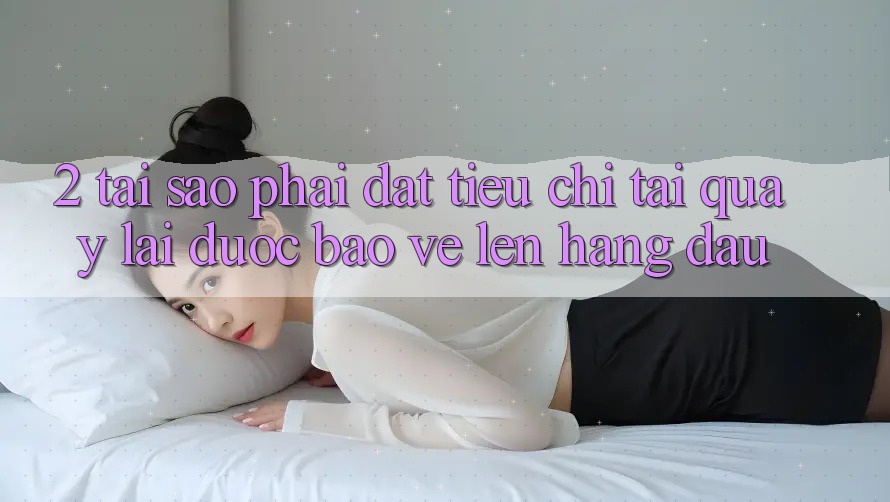 2. Tại Sao Phải Đặt Tiêu Chí “Tải quay lại Được bảo vệ” Lên Hàng Đầu?