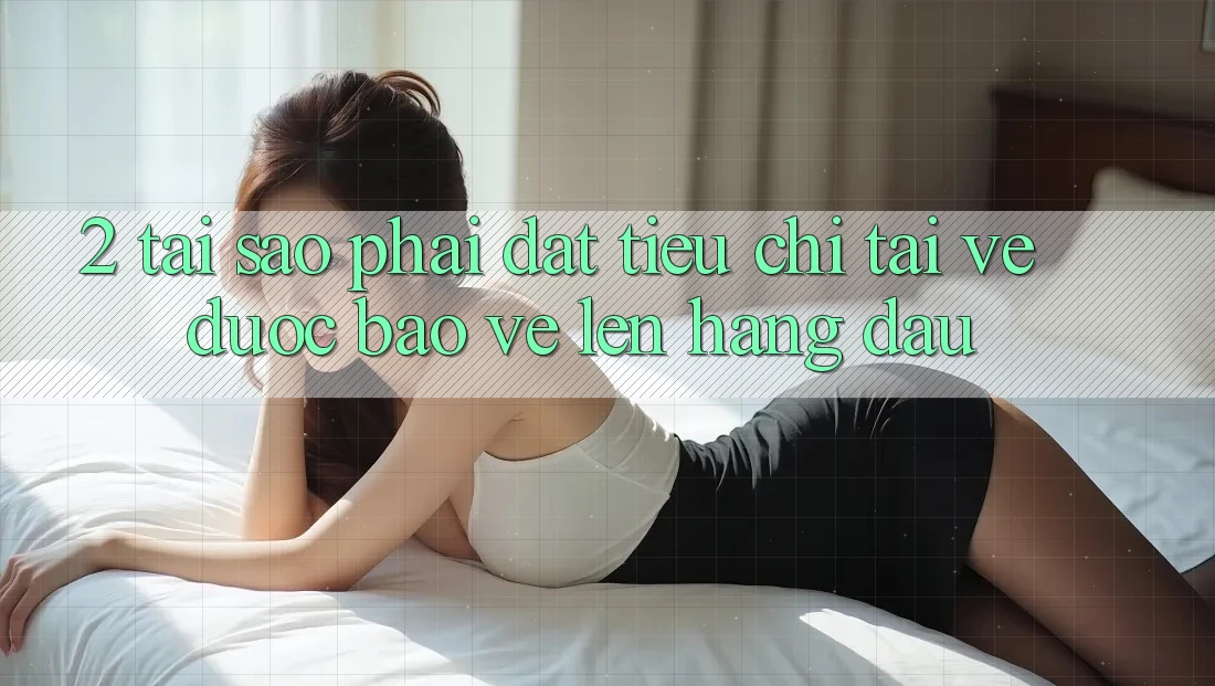 2. Tại Sao Phải Đặt Tiêu Chí “Tải về Được bảo vệ” Lên Hàng Đầu?