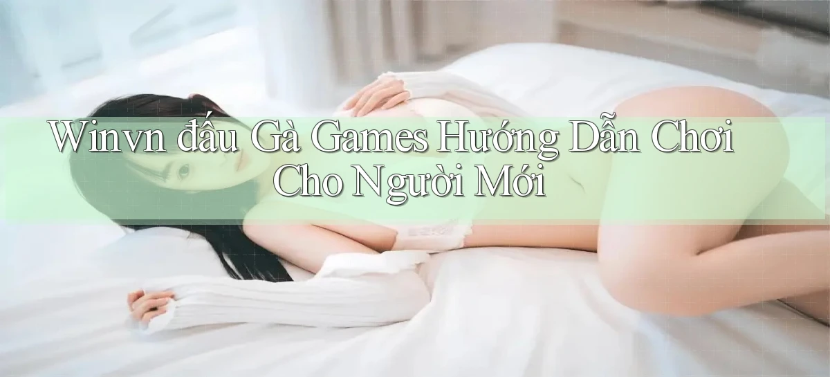 winvn  đấu gà games hướng dẫn chơi cho người mới