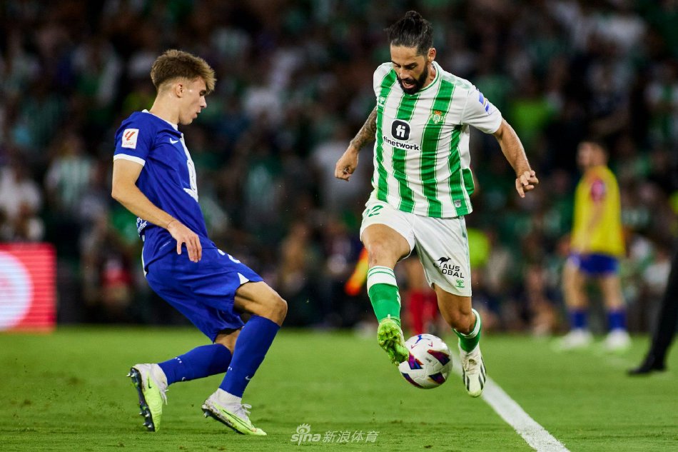 新赛季冠军 新赛季冠军